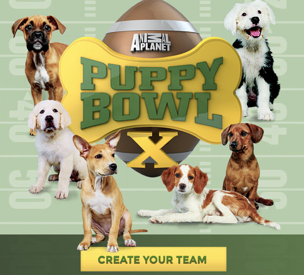 Puppy Bowl Adds Fantasy Game