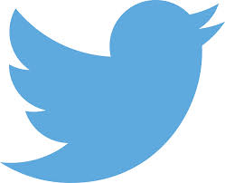 Twitter growth slows, engagement drops in Q4 2013